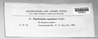 Image Associated With the Occurence